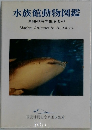 水族館動物図鑑　沖縄の海の生きもの