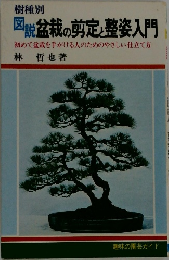 図説盆栽の剪定と整姿入門