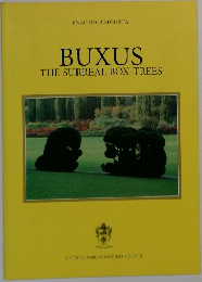 BUXUS THE SURREAL BOX-TREES