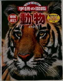 動物