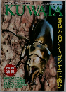 KUWATA　1999年11月 No.5