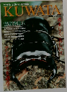 KUWATA　1998 October