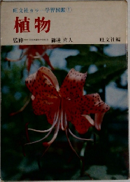 旺文社カラー学習図鑑1　植物
