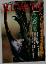 KUWATA　1999年2月