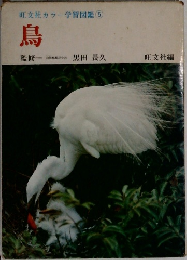 旺文社カラー学習図鑑 ⑤　鳥