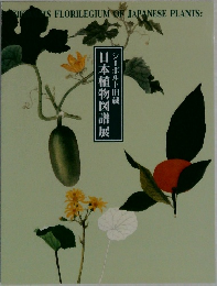 シーボルト旧蔵 日本植物図譜展 