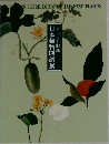 シーボルト旧蔵 日本植物図譜展 