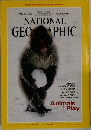 National　Geographic　１９９４年１２月号　