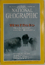 NATIONAL  GEOGRAPHIC　1994年11月号　