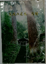 茨城の名木・巨樹