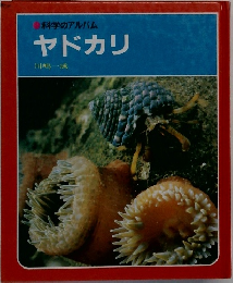 ヤドカリ