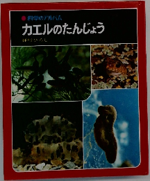 カエルのたんじょう