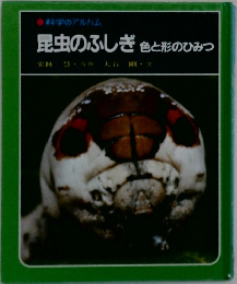 昆虫のふしぎ 色と形のひみつ