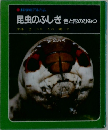 昆虫のふしぎ 色と形のひみつ
