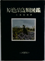 原色鳥類図鑑