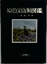 原色鳥類図鑑