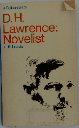 D.H. Lawrence: Novelist
