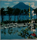 日本の旅　15　九州