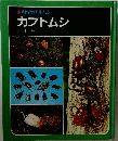 カブトムシ