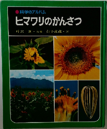 ヒマワリのかんさつ