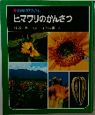 ヒマワリのかんさつ