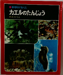 カエルのたんじょう