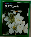 サクラの一年