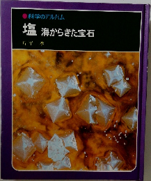 塩　海からきた宝石
