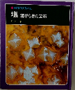 塩　海からきた宝石
