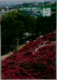 まちの緑
