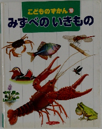 こどものずかん 10  みずべのいきもの