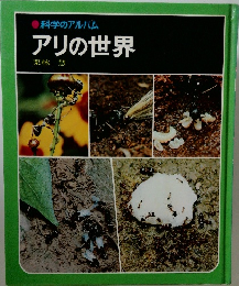 アリの世界
