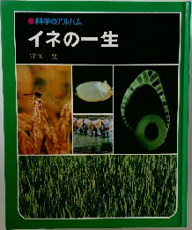 イネの一生