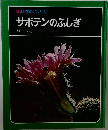 サボテンのふしぎ