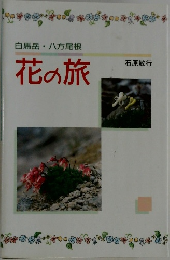 花の旅