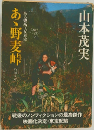 あゝ野麦峠