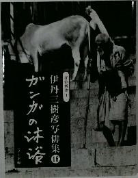 伊丹三樹彦写俳集16 ガンかの味液