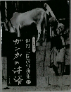 伊丹三樹彦写俳集16 ガンかの味液