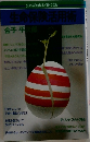 生命保険活用術