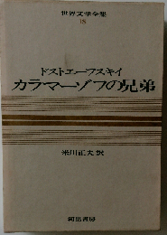 カラー版世界文学全集 １８ カラマーゾフの兄弟