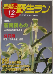 自然と野生ラン 2004年12月号