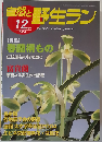 自然と野生ラン 2004年12月号