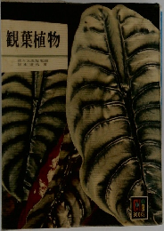 観葉植物