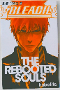 THE REBOOTED SOULS