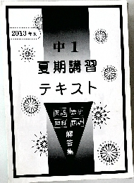 中 1  夏期講習  テキスト