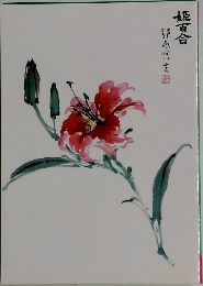 姫百合 