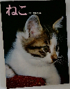 ねこ