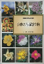 季節の伝統植物