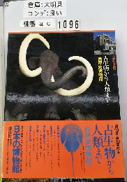 日本の博物館「10」古生物から人類まで