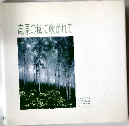 高原の風に吹かれて